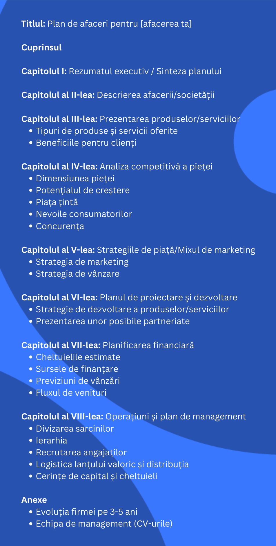 plan de afaceri model